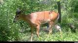 2542 County Road P - Photo 34
