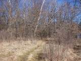  Wilcox Road - Photo 24