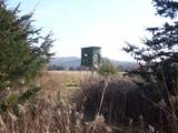  Wilcox Road - Photo 3