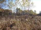  Wilcox Road - Photo 31