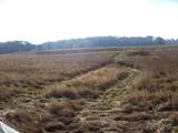  Wilcox Road - Photo 35