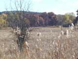  Wilcox Road - Photo 36