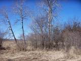  Wilcox Road - Photo 40