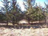  Wilcox Road - Photo 6