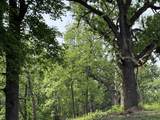 225 Whitetail Lane - Photo 56