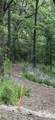 225 Whitetail Lane - Photo 59