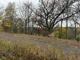 229 Whitetail Lane - Photo 53