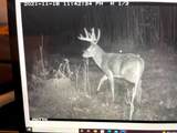 4400 Deer Lane - Photo 5