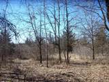  Wilcox Road - Photo 10