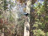 Wilcox Road - Photo 14