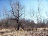  Wilcox Road - Photo 15