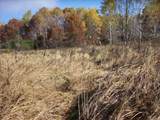  Wilcox Road - Photo 16