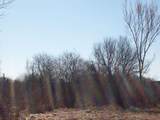  Wilcox Road - Photo 18