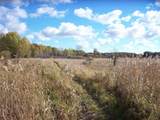  Wilcox Road - Photo 19