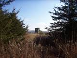  Wilcox Road - Photo 25