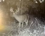 N8002 Ashley Rd. Road - Photo 35