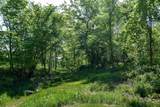 Lot 1 Stone Valley Road - Photo 6