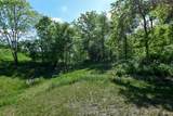Lot 1 Stone Valley Road - Photo 7