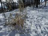 225 Whitetail Lane - Photo 44