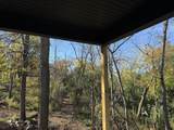 225 Whitetail Lane - Photo 17