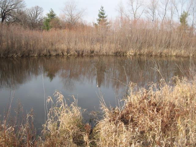 N3596 Pahl Rd - Photo 1