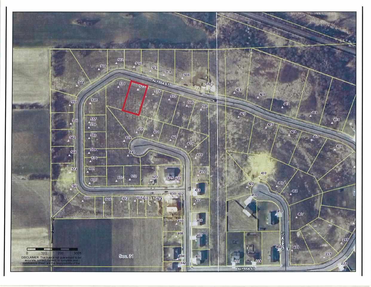525 Alyssa St - Photo 1