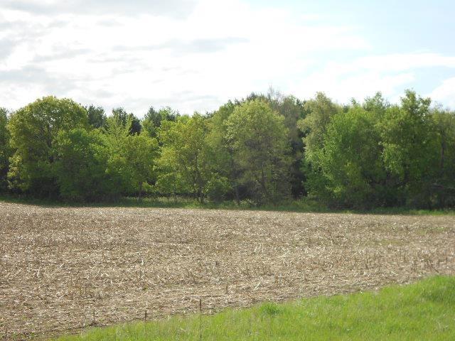 122.37 Ac County Road Cm - Photo 1