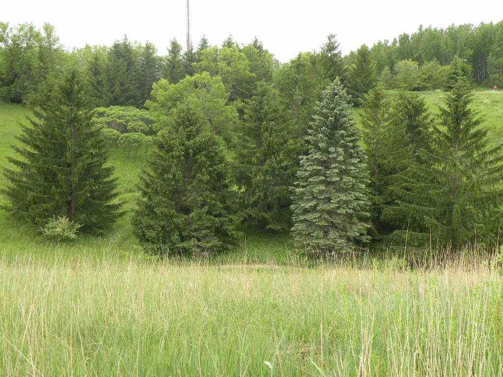 290 Moraine Drive - Photo 1