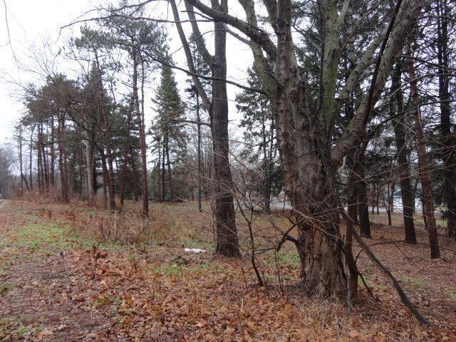 L2 Perry Dr - Photo 1