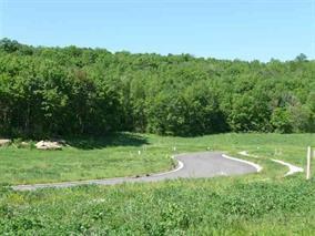 4077 Red Hawk Run - Photo 1