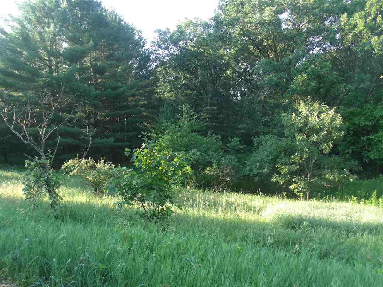 L4 Oak Street - Photo 1