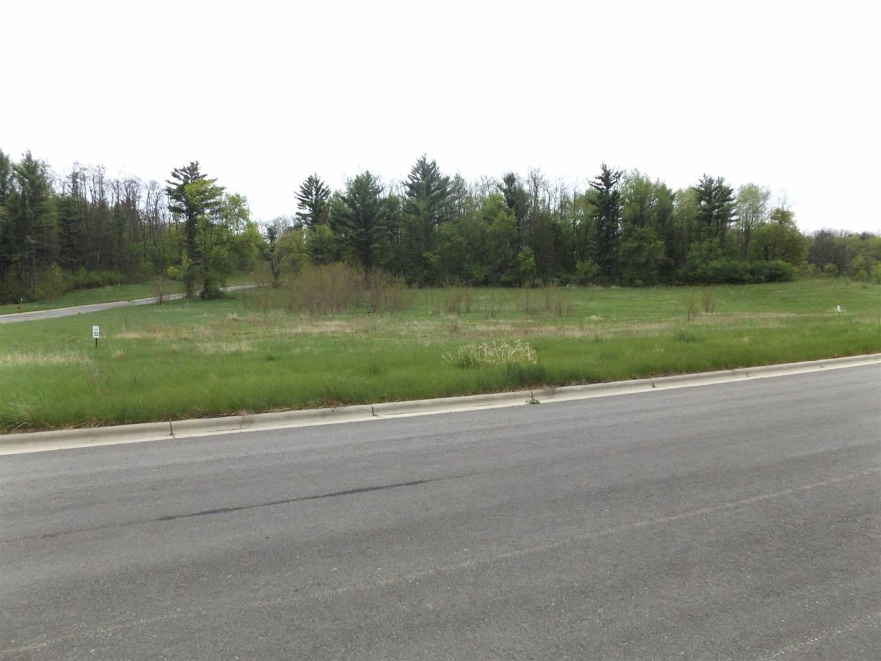 L45 Glen Becker Tr - Photo 1