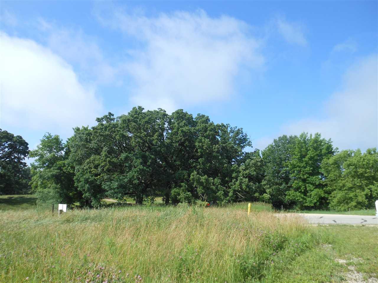 L17 Penny Ln - Photo 1