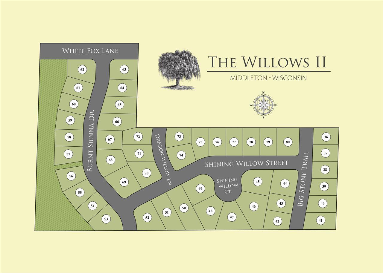 514 Dragon Willow Ln - Photo 1