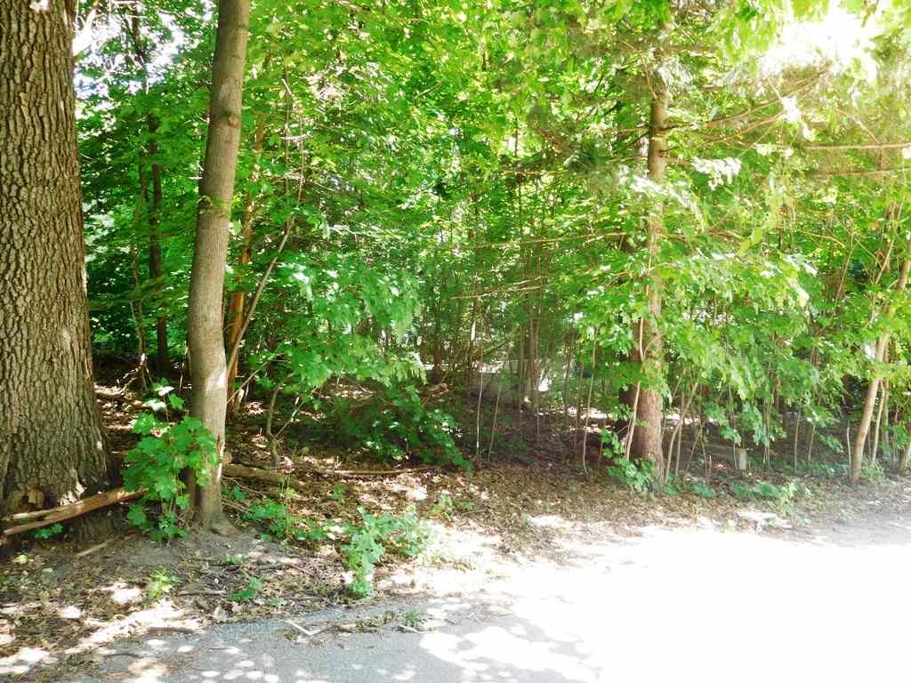 L9 & L10 Forest Ave - Photo 1