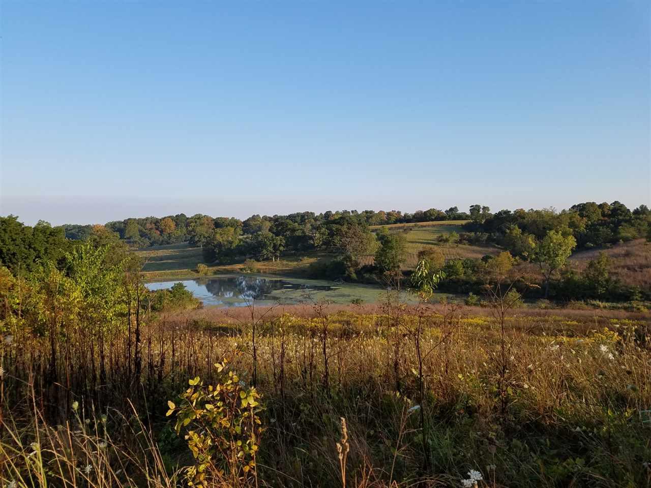 3115 Hwy 39 - Photo 1