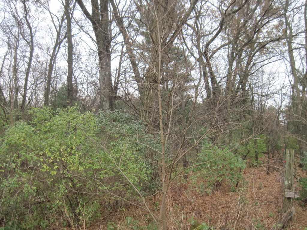 10 Ac County Road J - Photo 1