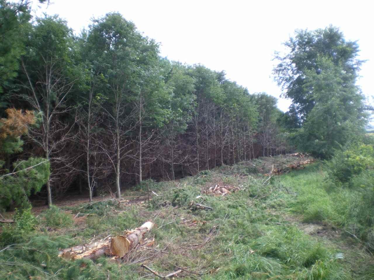 L8 Fox Hill - Photo 1