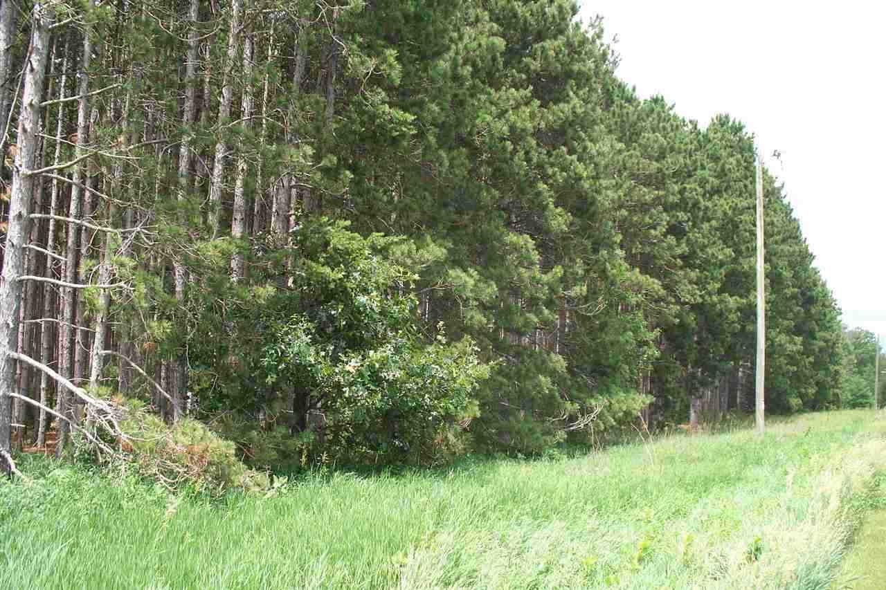 L3 11th Ave - Photo 1