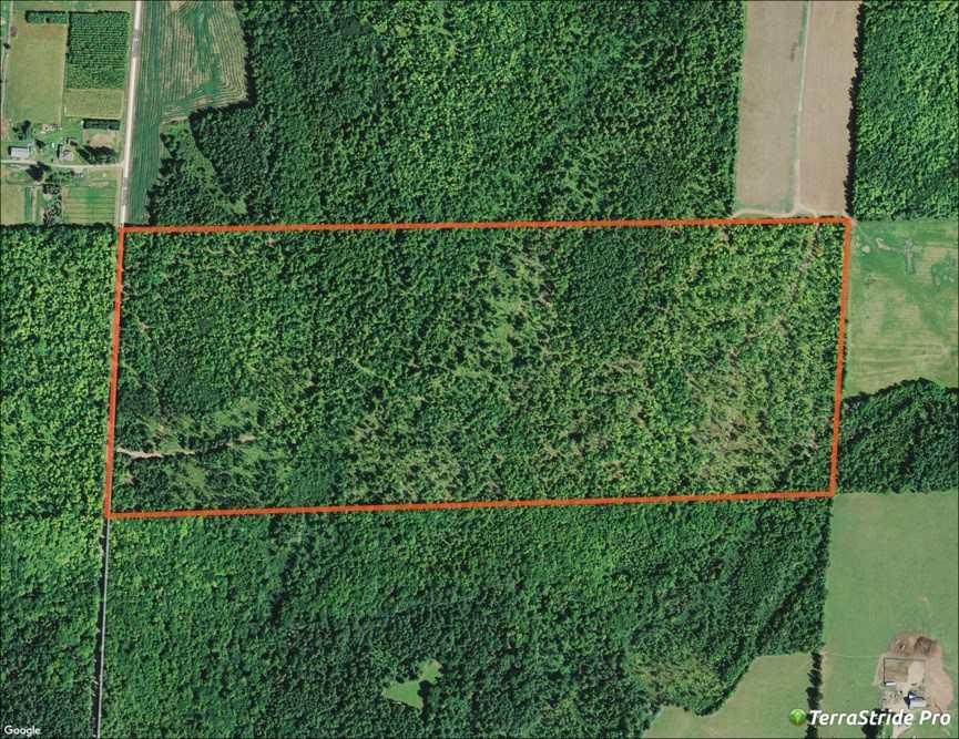 100 ac Venz Rd - Photo 1