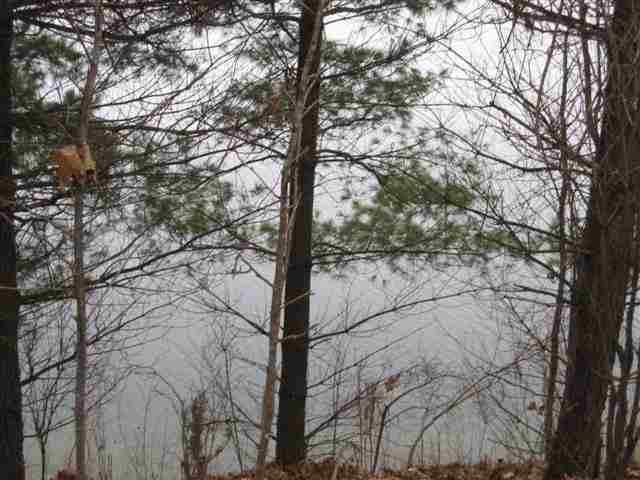 L443 Summit Point Dr - Photo 1