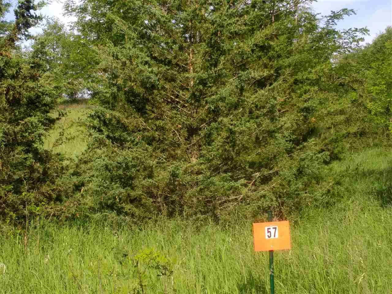 L57 Eagle Ln - Photo 1