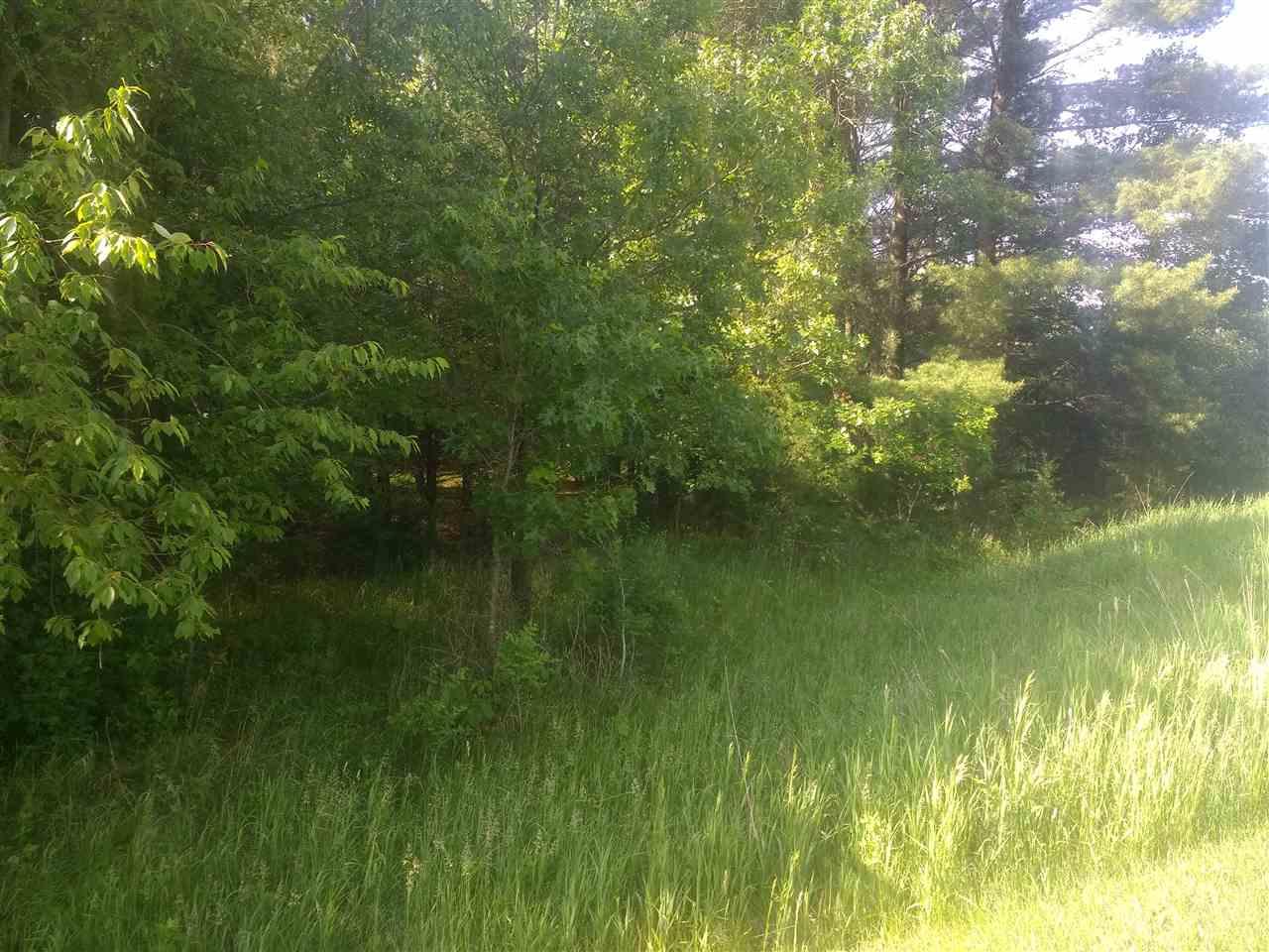 L64 Deerpath Dr - Photo 1