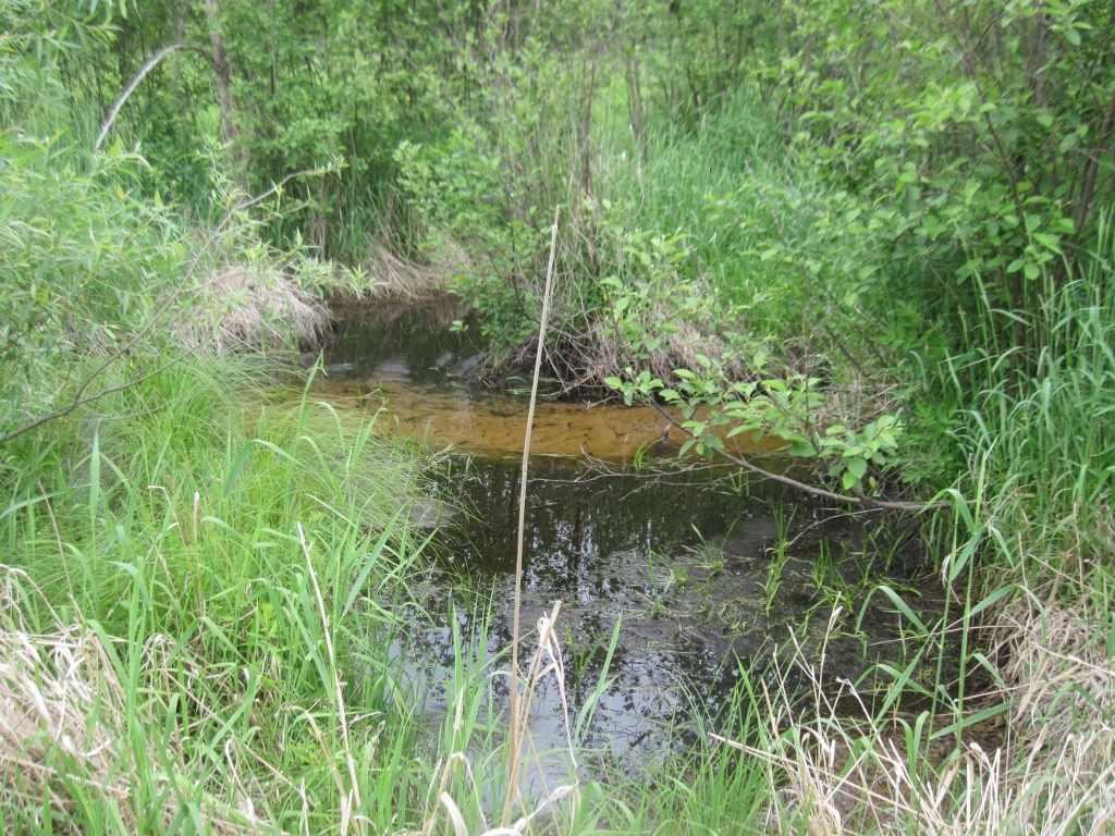 5 Ac Edgewood Dr - Photo 1