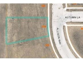 L4 Allison Way - Photo 1