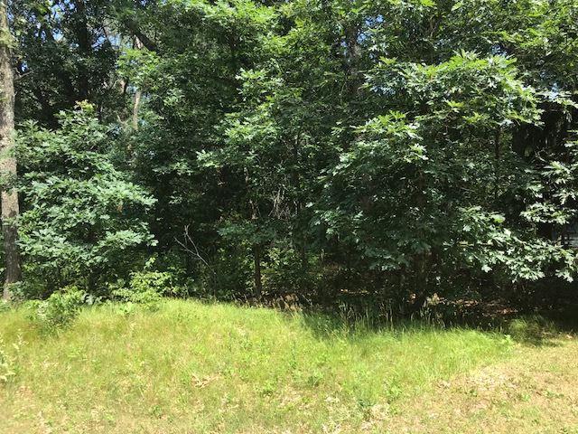 L99 Oak St - Photo 1