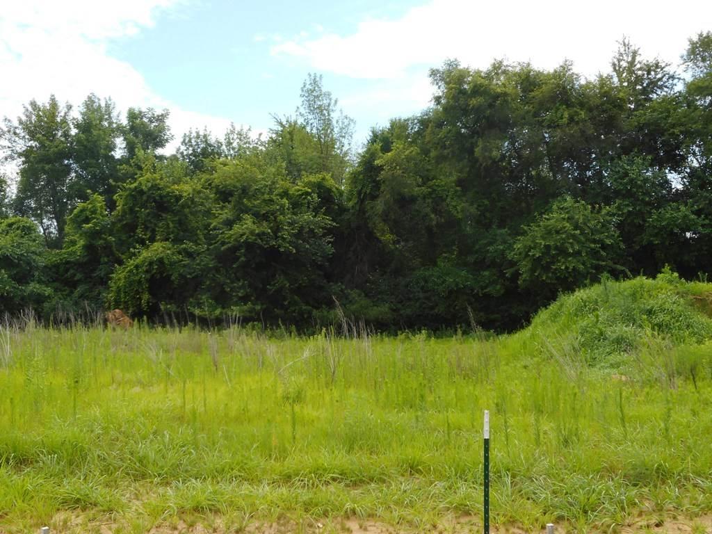 L1 Mason Dr - Photo 1
