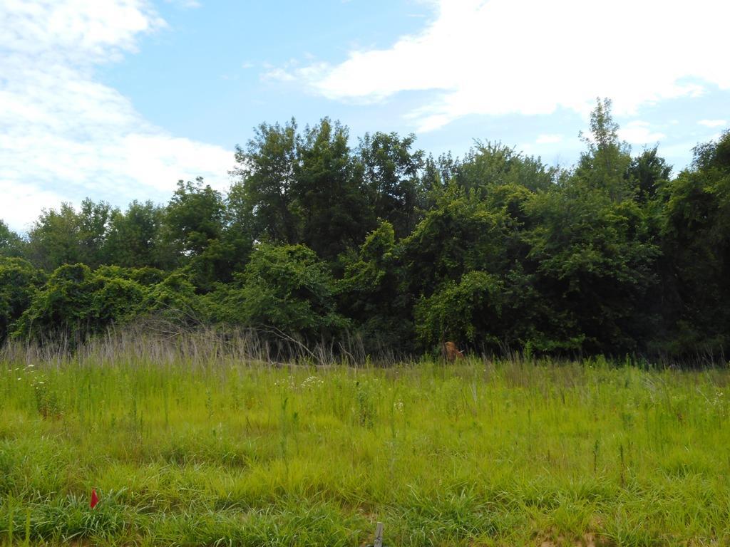 L2 Mason Dr - Photo 1