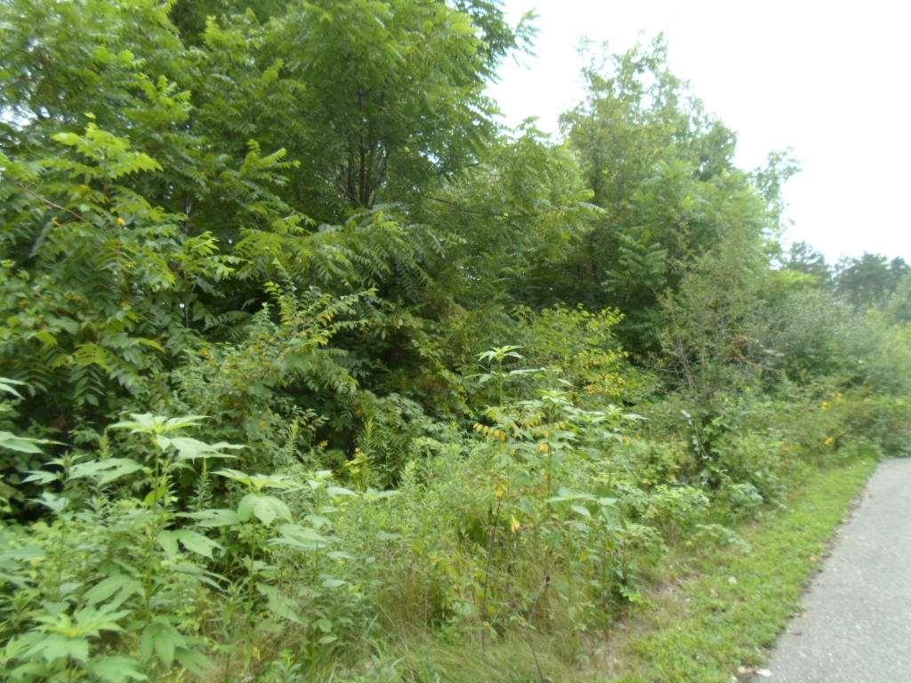 L48 Sunset Ln - Photo 1