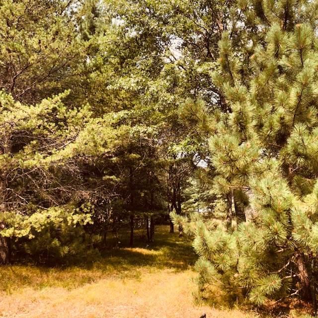 1006 Fosse Ct - Photo 1